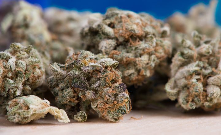 Thailand Regulates Cannabis As Weed Business Is Booming